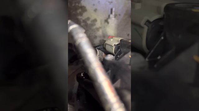 How to change coolant temp sensor on 5.0 coyote (mustang) ?❄️ #howto смотреть онлайн