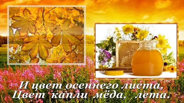 Дарите жёлтые цветы. Сергей Чекалин смотреть онлайн