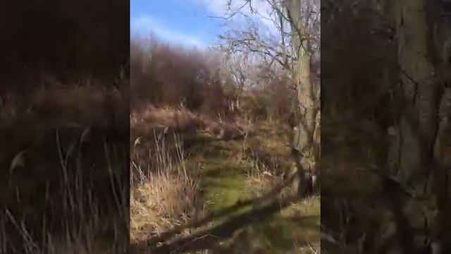 участок в Денисовке (район водохранилища) смотреть онлайн