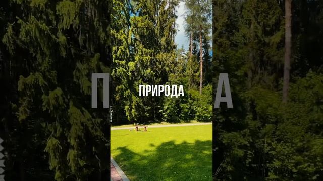 ЛЕСКИ СИЛИЧИ КЭМП 2022 смотреть онлайн