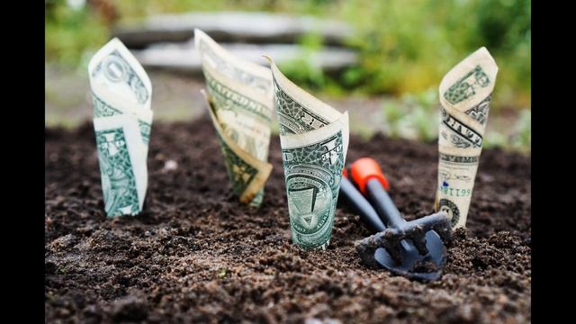 Как понять, кем ты хочешь стать по профессии? Как выбрать профессию? UNO well done смотреть онлайн