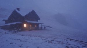 Epic Winter Storm Sounds for Sleeping┇Wind Sound Effect & Arctic Blowing Snow┇Cozy Winter Ambience