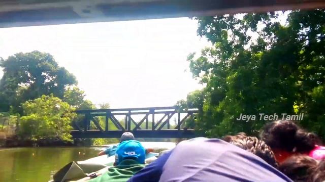 Yala National Park | Safari Experience | in Srilanka смотреть онлайн