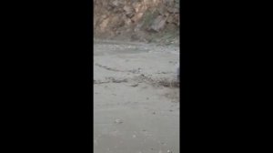 Мощные селевые потоки в Дагестане