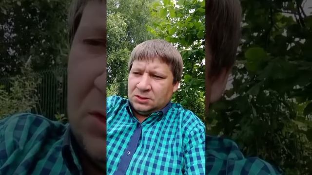 Что случилось в Сергиевом Посаде? смотреть онлайн