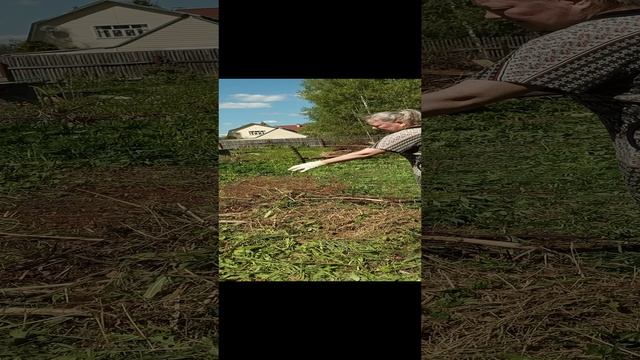 05.2023 смотреть онлайн