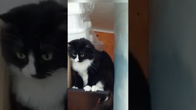 Чтобы такого сделать плохого смотреть онлайн