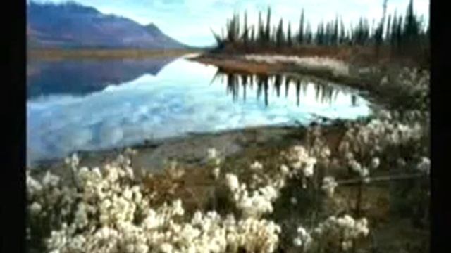 Working With the Arctic National Wildlife Refuge | Subhankar Banerjee | Talks at Google смотреть онлайн