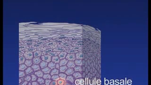 Как появляются бородавки? смотреть онлайн