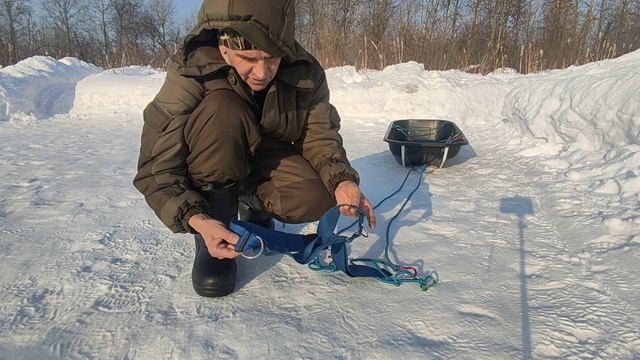 Сани пластиковые, обвязка с поясом и лыжи - снегоступы Ярки-1 по глубокому снегу_часть 2 из 3 смотреть онлайн