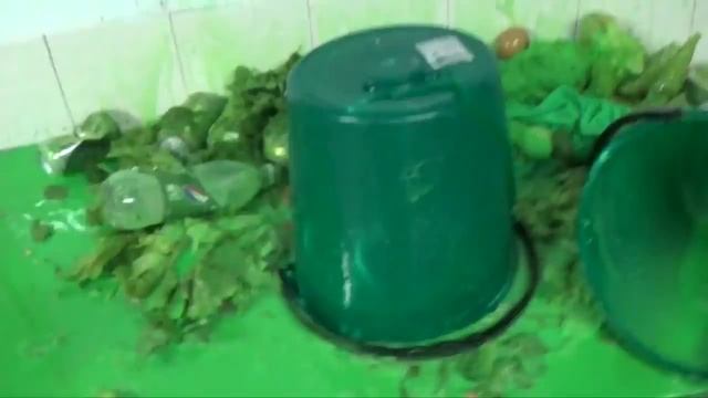 Как сделать зеленый чай смотреть онлайн