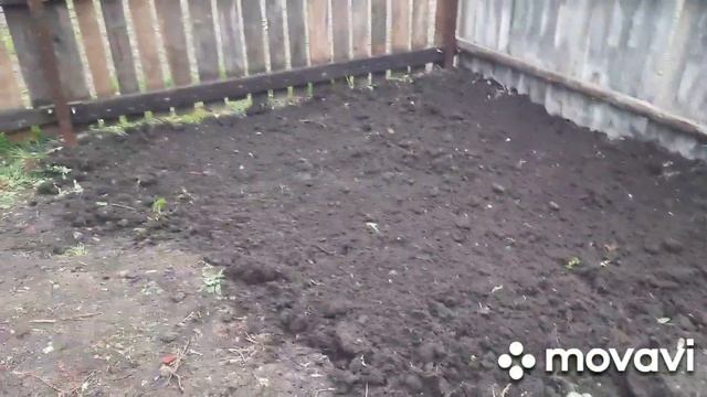 Покупки для мамы. Обо всём по немногу.