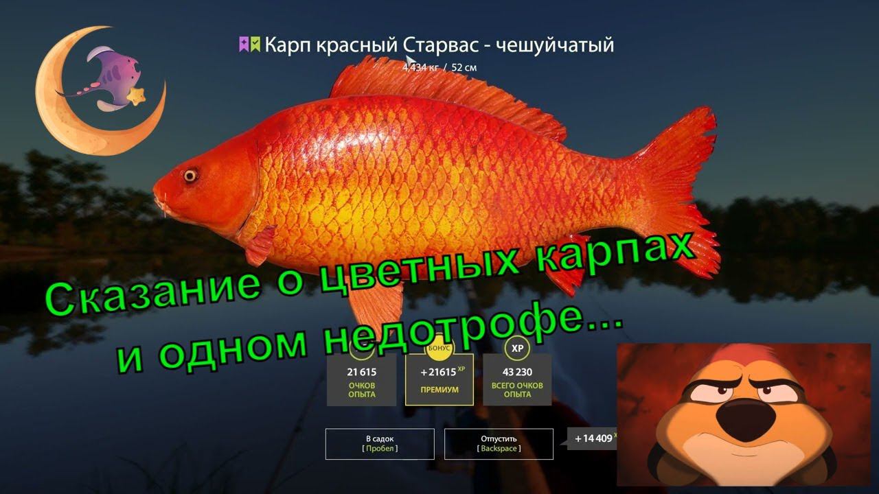 НАБЕГ НА ТОЧКУ  ОЗЕРО ЯНТАРНОЕ  RF4  #рр4 #русскаярыбалка4 #трофей