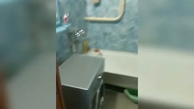 1 комнатная квартира по ул. Ильича д.293 смотреть онлайн