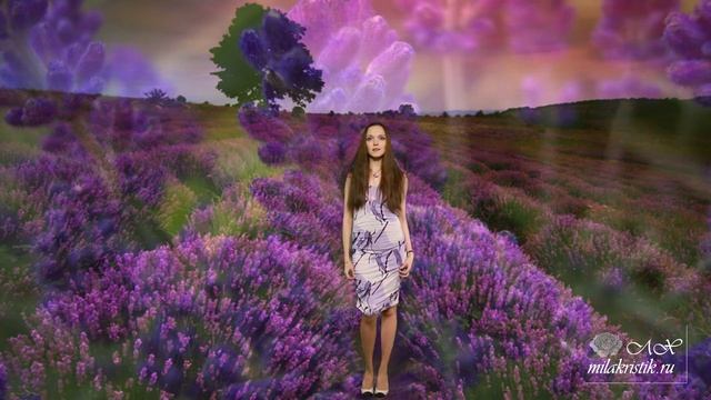 Лавандовый стих смотреть онлайн