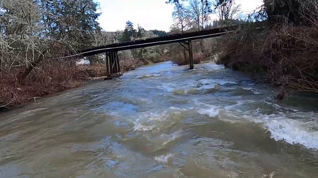Willamina Creek SUP - Buck Hollow to S Main St смотреть онлайн