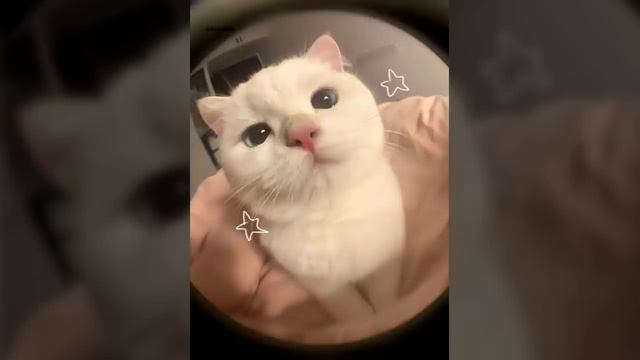 песни спид ап 2024 смотреть онлайн