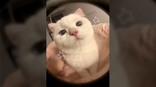 песни спид ап 2024