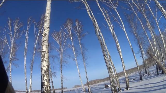 Охота на зайца!!! Arctic Cat Bearcat 660 Turbo первые впечатления!!! Омская область!!!