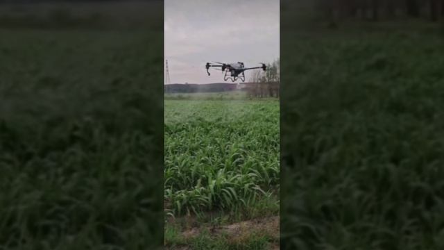 В огороде ещё нет дрона? Тогда Китай идёт к вам ??☺️ bayoun.ru смотреть онлайн