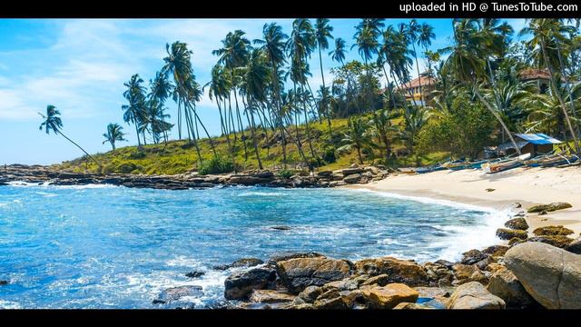 English File Pre-intermediate  1.55