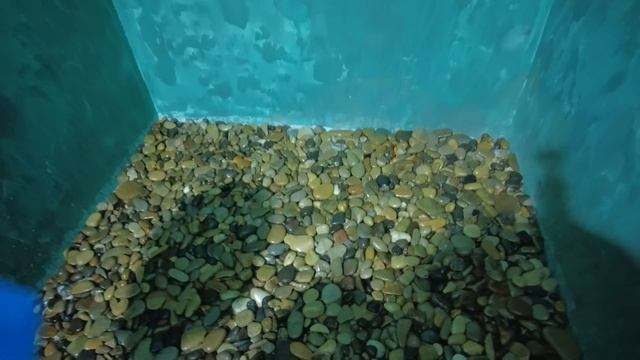 Душевой поддон из гальки смотреть онлайн