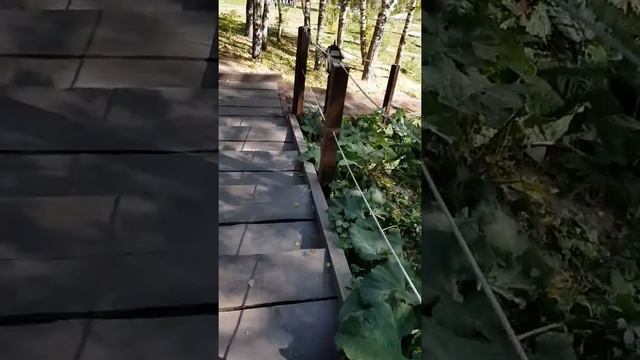 Лесная сказка. Домик на деревьях смотреть онлайн