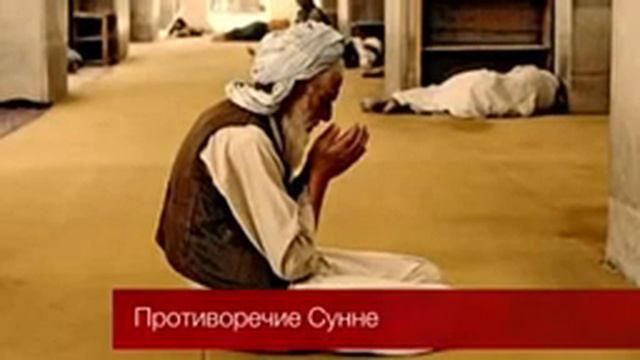 Противоречие Сунне смотреть онлайн