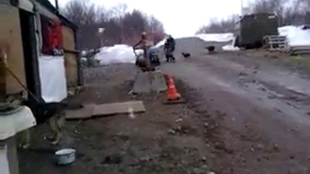 Я и Мотособака на КПП смотреть онлайн