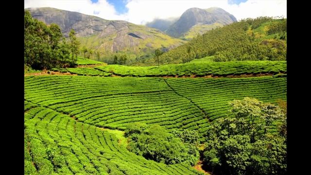Око возрождения.Секреты омоложения.Древняя практика тибетских лам.Питер Кэлдер.(Аудиокнига) смотреть онлайн