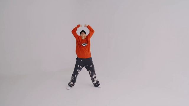 Dance Tutorial: Here We Go by Lightmuzik / DJ Standout / Evan Ford смотреть онлайн