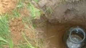 Как бороться с кротами на участке