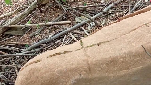 Мегалиты и другие тайны России 