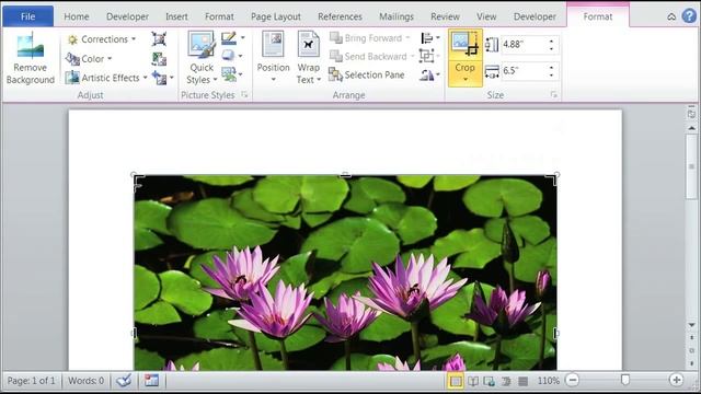 How To Crop JPEG Images In Word : Using Microsoft Word