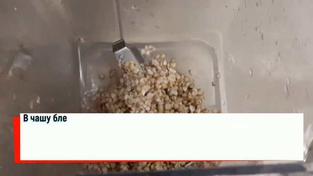 Животные в Зоопарках