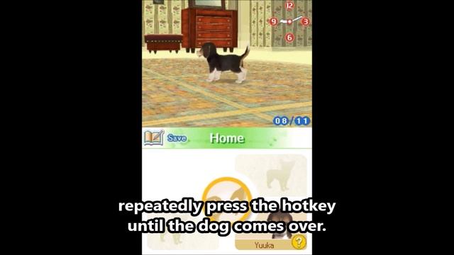 how to teach your dog on nintendogs their name on desmume (harder method) смотреть онлайн