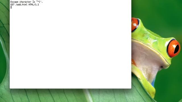 Conexión a servidor HTTP mediante telnet смотреть онлайн