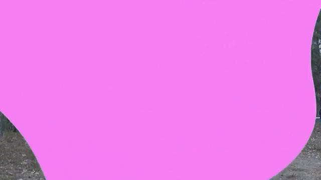 ⭐ LA FALTA DE APETITO Y COMO COMBATIRLO 🥗