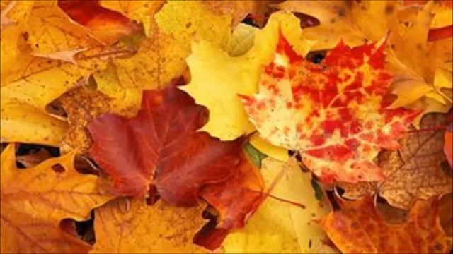 пусть годы летят, но светится взгляд смотреть онлайн