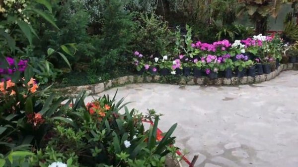 GANGTOK | SIKKIM | PLACES TO SEE NEAR GANGTOK! Gangtok Sightseeing | North East India Tourism