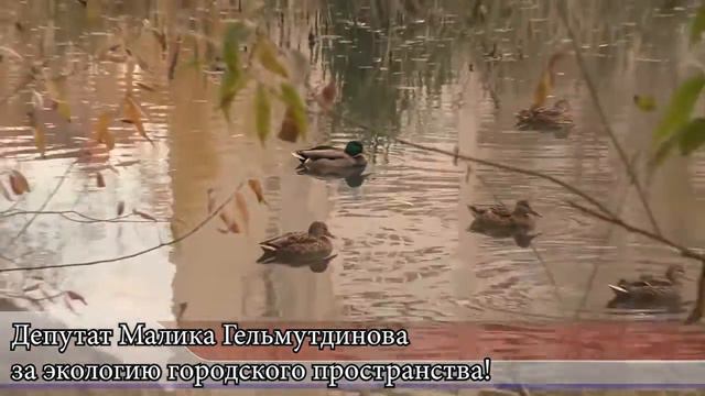 Депутат Малика Гельмутдинова за экологию городского пространства! смотреть онлайн
