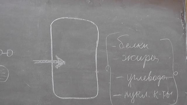 1 Дыхание, питание, выделение смотреть онлайн