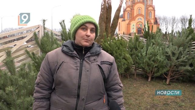 В Старом Осколе сегодня открылись ёлочные базары смотреть онлайн