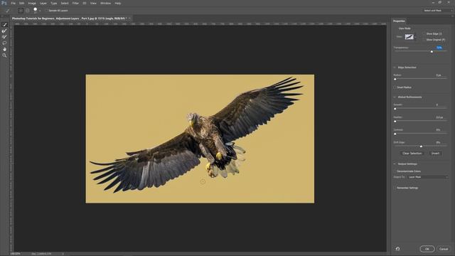 New Select and Mask (Replaces Refine Edge) in Photoshop | CC 2015.5 Update Release (4K) смотреть онлайн