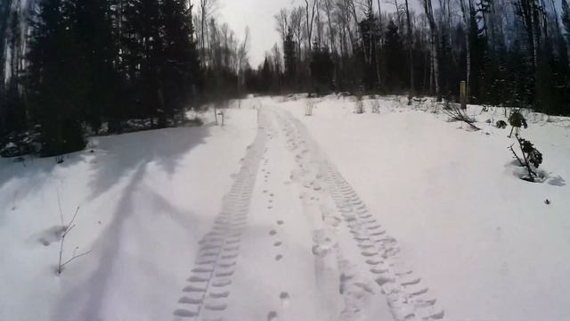 строительство нового зимовья из сухого валежеика(сруб) смотреть онлайн