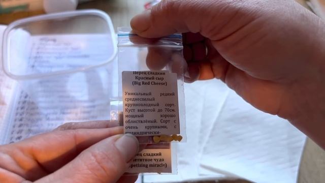 Проращивание семян перца. Легко и просто. Маркировка сортов. смотреть онлайн