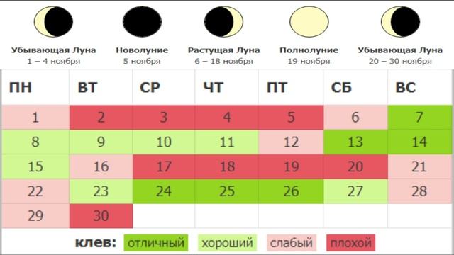 Календарь Рыбалова на Ноябрь 2021. Прогноз клёва. Лунный календарь рыболова на Ноябрь смотреть онлайн
