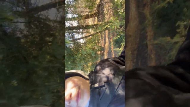 ГДЕ ЖИЛИ НЕМЦЫ 🏴☠️ смотреть онлайн