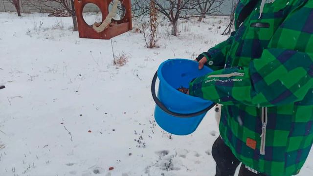 НЕ ВЫКИДЫВАЙТЕ ГРЕЦКИЕ ОРЕХИ. Вот, что можно с ними сделать смотреть онлайн