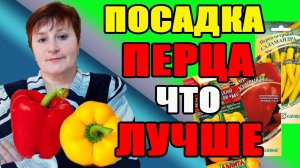 Посадка ПЕРЦА. Что лучше, семена в пакетиках или из перца.